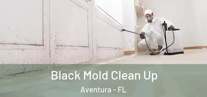  Black Mold Clean Up Aventura - FL