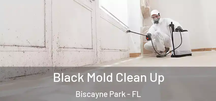  Black Mold Clean Up Biscayne Park - FL