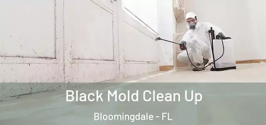  Black Mold Clean Up Bloomingdale - FL