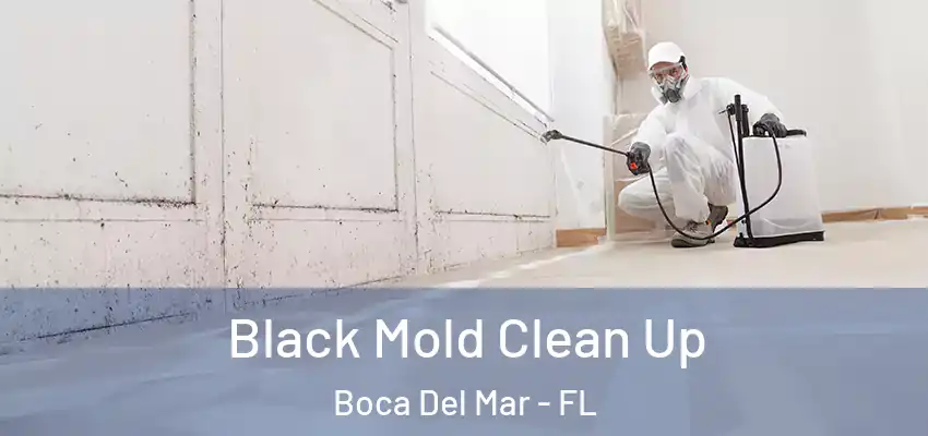  Black Mold Clean Up Boca Del Mar - FL