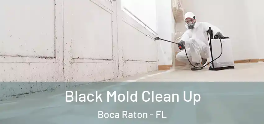  Black Mold Clean Up Boca Raton - FL