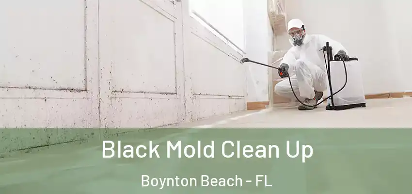 Black Mold Clean Up Boynton Beach - FL