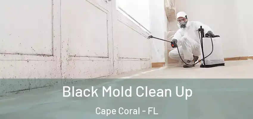  Black Mold Clean Up Cape Coral - FL