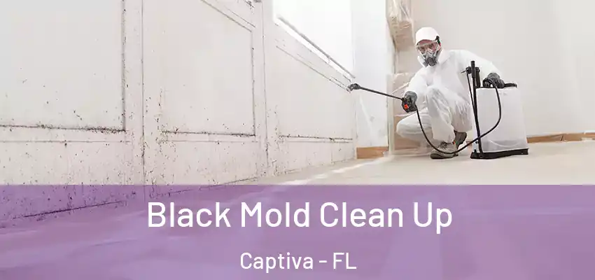 Black Mold Clean Up Captiva - FL
