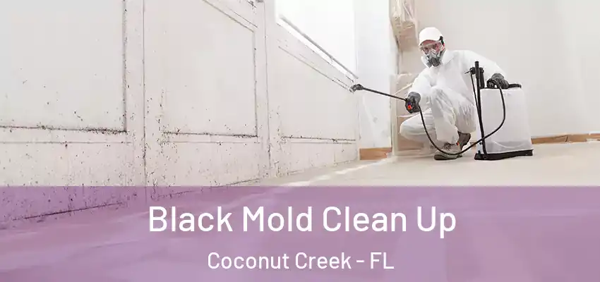  Black Mold Clean Up Coconut Creek - FL