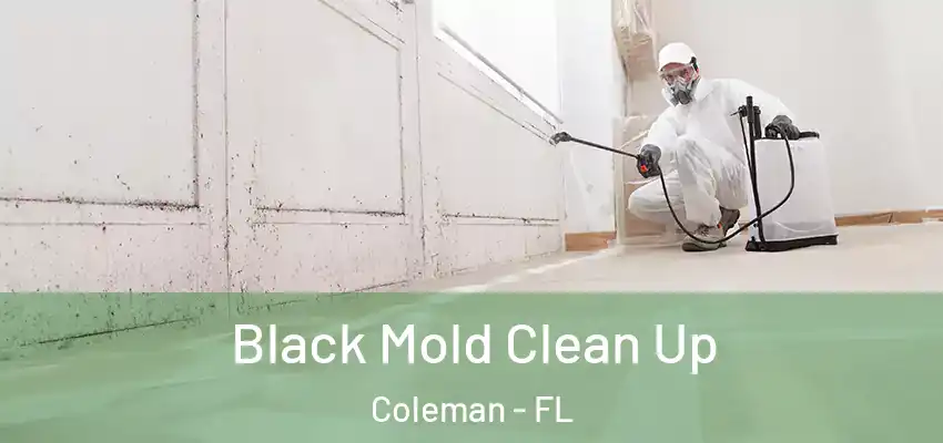  Black Mold Clean Up Coleman - FL
