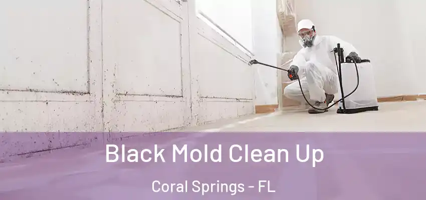  Black Mold Clean Up Coral Springs - FL