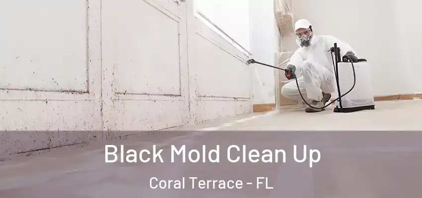 Black Mold Clean Up Coral Terrace - FL