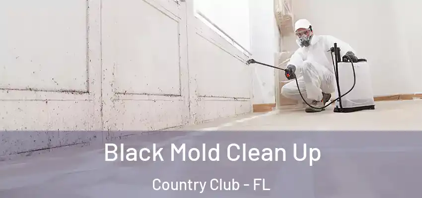 Black Mold Clean Up Country Club - FL