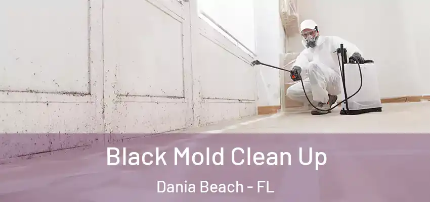 Black Mold Clean Up Dania Beach - FL