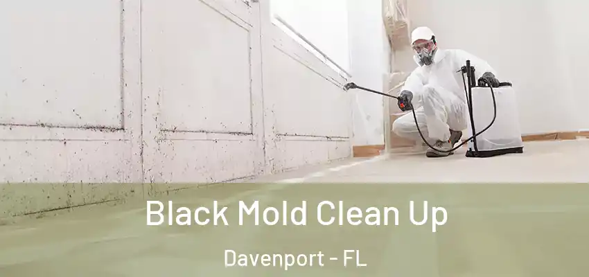  Black Mold Clean Up Davenport - FL