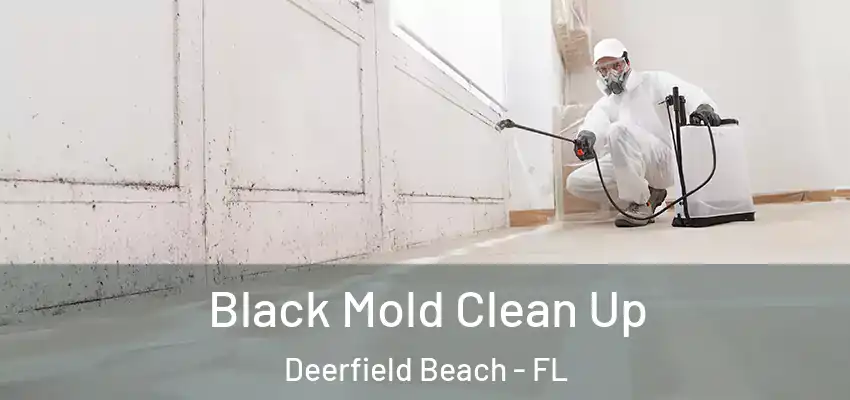 Black Mold Clean Up Deerfield Beach - FL