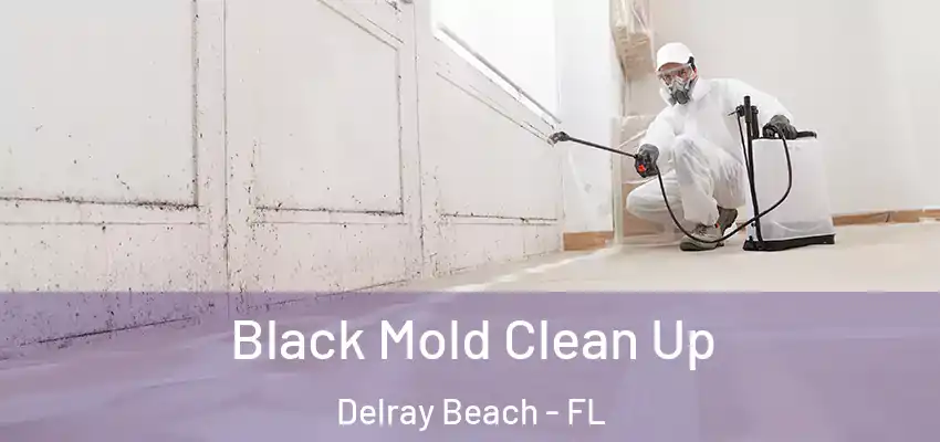 Black Mold Clean Up Delray Beach - FL