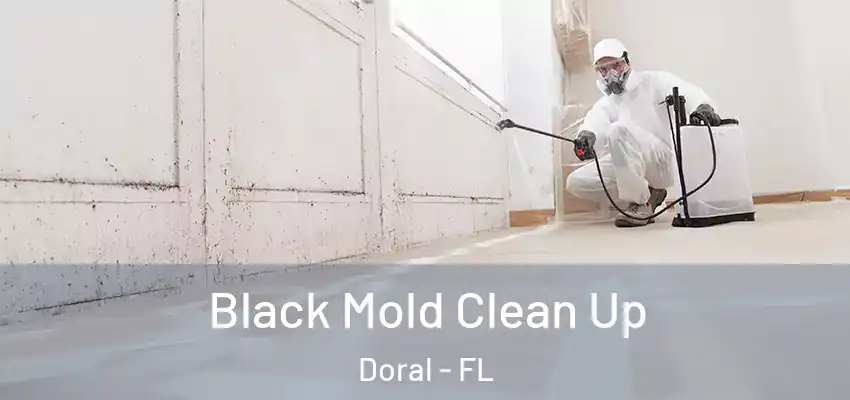 Black Mold Clean Up Doral - FL