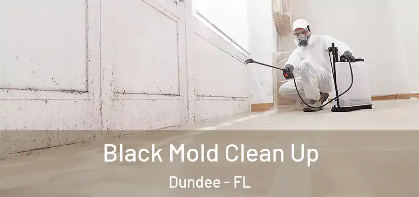  Black Mold Clean Up Dundee - FL
