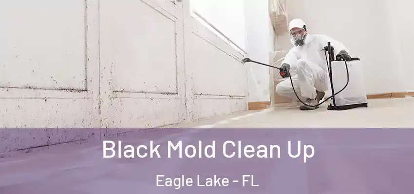  Black Mold Clean Up Eagle Lake - FL