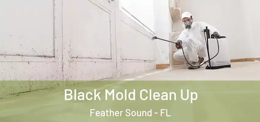 Black Mold Clean Up Feather Sound - FL