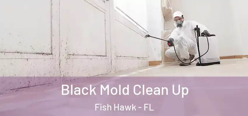Black Mold Clean Up Fish Hawk - FL