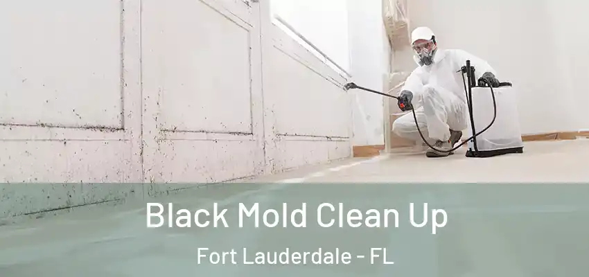  Black Mold Clean Up Fort Lauderdale - FL