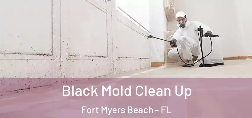 Black Mold Clean Up Fort Myers Beach - FL