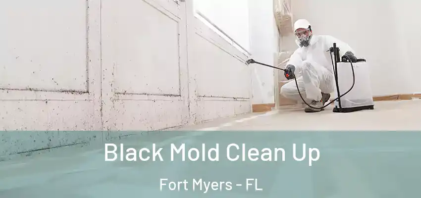 Black Mold Clean Up Fort Myers - FL
