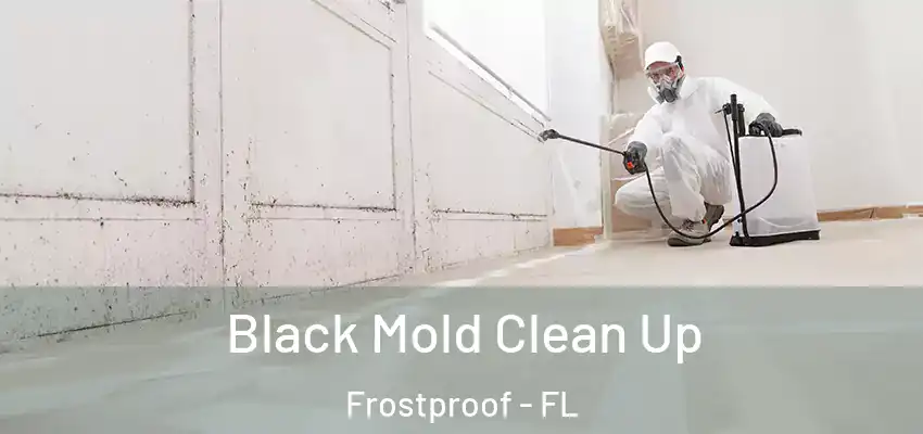  Black Mold Clean Up Frostproof - FL