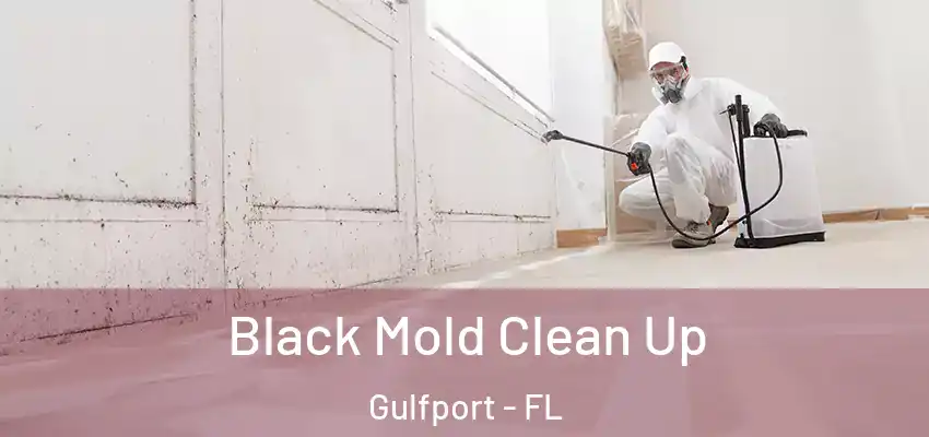  Black Mold Clean Up Gulfport - FL