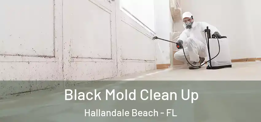 Black Mold Clean Up Hallandale Beach - FL