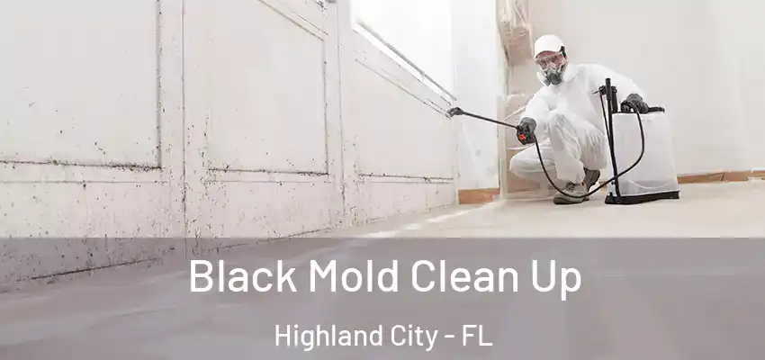 Black Mold Clean Up Highland City - FL