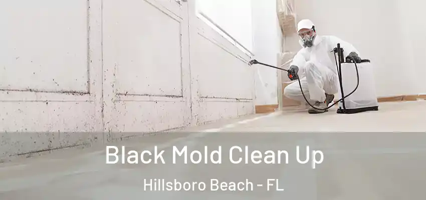Black Mold Clean Up Hillsboro Beach - FL