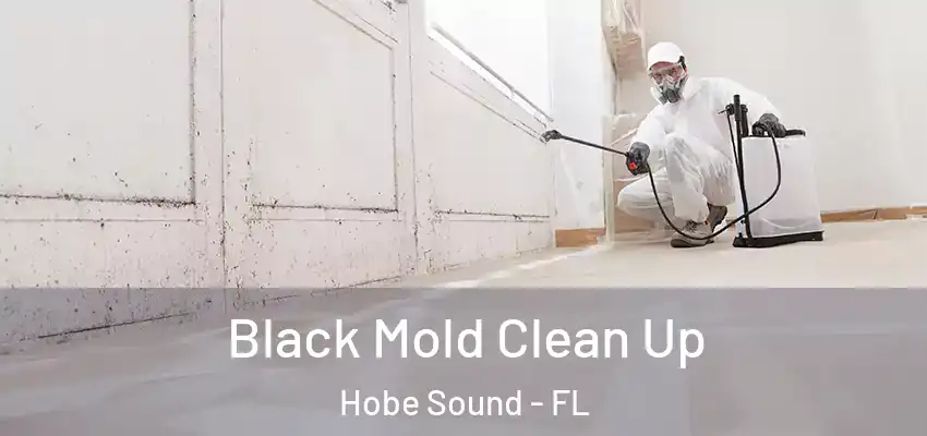  Black Mold Clean Up Hobe Sound - FL