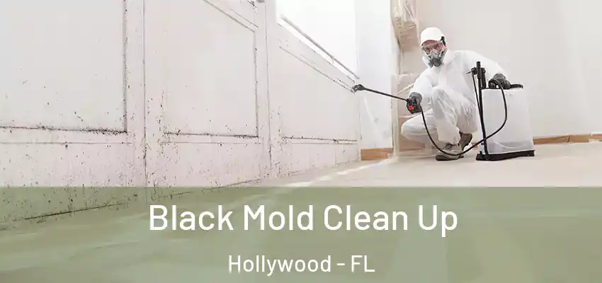  Black Mold Clean Up Hollywood - FL
