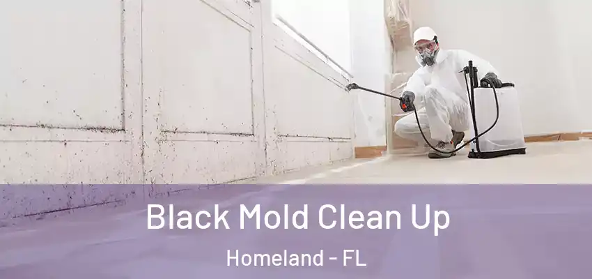 Black Mold Clean Up Homeland - FL