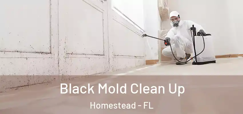 Black Mold Clean Up Homestead - FL
