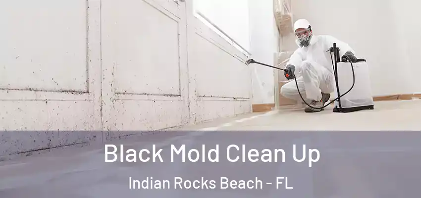 Black Mold Clean Up Indian Rocks Beach - FL