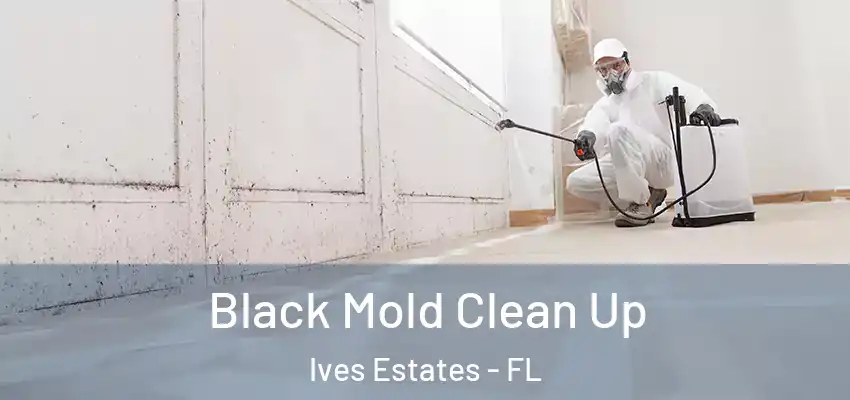 Black Mold Clean Up Ives Estates - FL