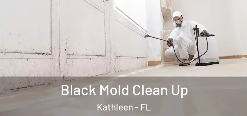  Black Mold Clean Up Kathleen - FL