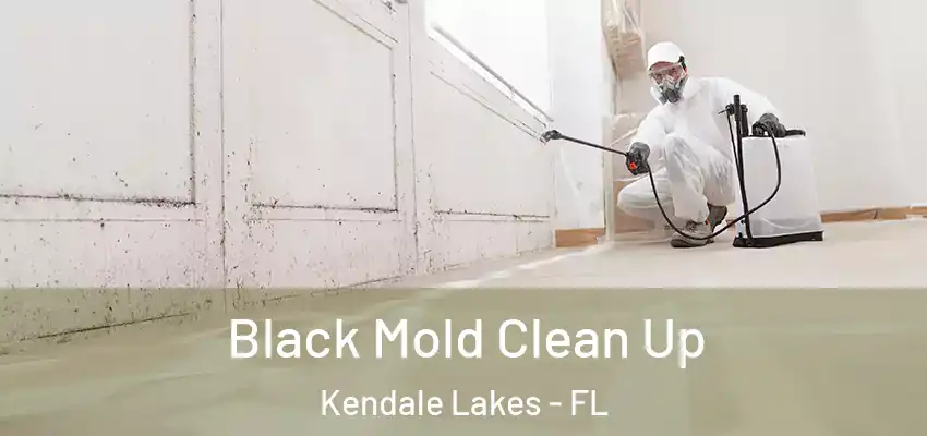  Black Mold Clean Up Kendale Lakes - FL