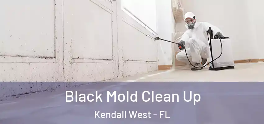 Black Mold Clean Up Kendall West - FL