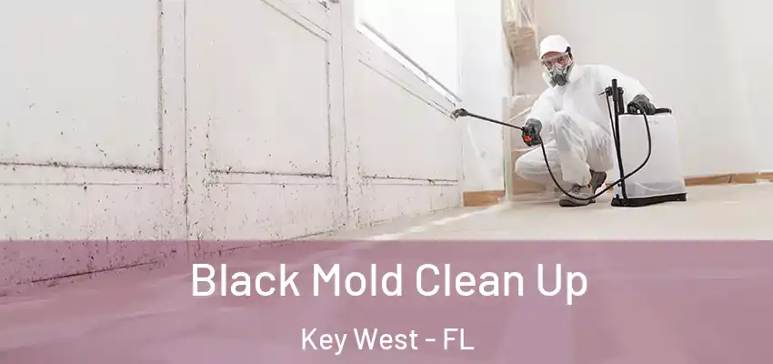 Black Mold Clean Up Key West - FL