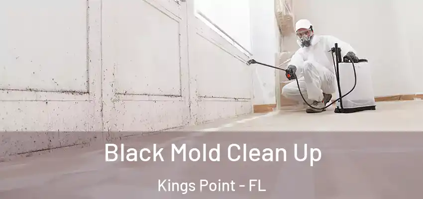  Black Mold Clean Up Kings Point - FL