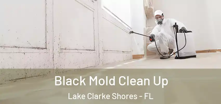 Black Mold Clean Up Lake Clarke Shores - FL