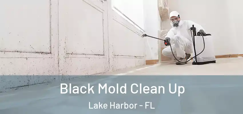 Black Mold Clean Up Lake Harbor - FL
