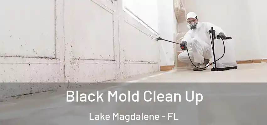 Black Mold Clean Up Lake Magdalene - FL