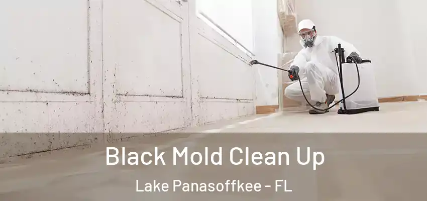  Black Mold Clean Up Lake Panasoffkee - FL