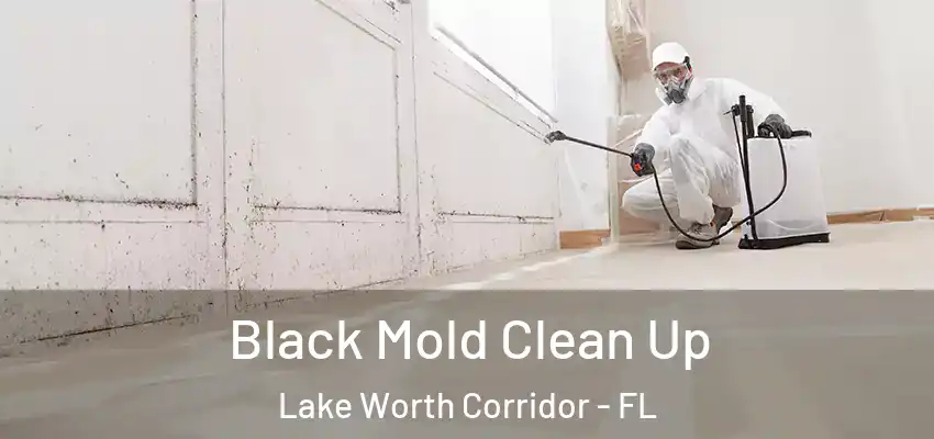  Black Mold Clean Up Lake Worth Corridor - FL