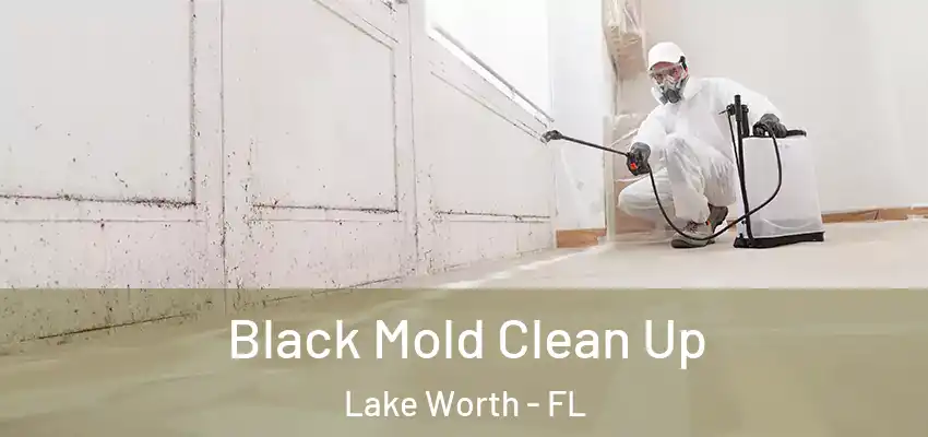 Black Mold Clean Up Lake Worth - FL