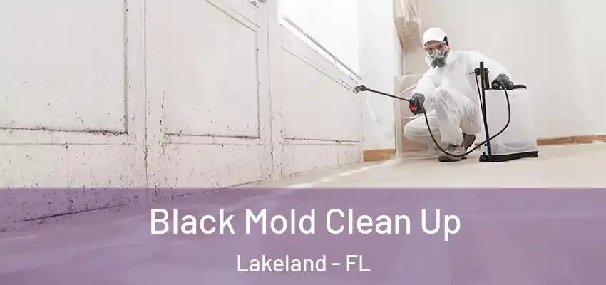 Black Mold Clean Up Lakeland - FL