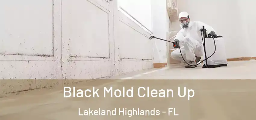 Black Mold Clean Up Lakeland Highlands - FL