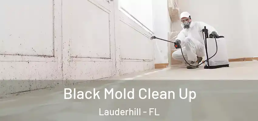  Black Mold Clean Up Lauderhill - FL